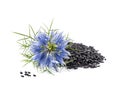 Black cumin seeds with nigella sativa Royalty Free Stock Photo