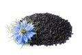 Black cumin seeds with nigella sativa flower Royalty Free Stock Photo