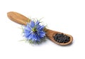 Black cumin seeds in wooden spoon and blue sativa flower Royalty Free Stock Photo