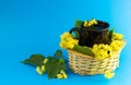 Black cup of tea in braided wicker basket filled with lime blossom on blue background