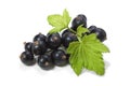 Black Currant Royalty Free Stock Photo