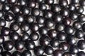 Black currant background on white, top view. Heap of black currant