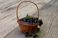 Black currant in a basket closeup Royalty Free Stock Photo