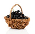 Black currant berries Royalty Free Stock Photo