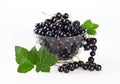 Black currant berries in a glass cup on a white background. Royalty Free Stock Photo