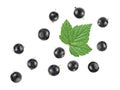 Black currant berries and green leaf isolated on white background, view from above Royalty Free Stock Photo