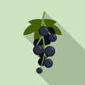 Black currant berries icon, flat style