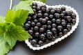 Black currant berries in a white plate in the form of a heart on a black background Royalty Free Stock Photo