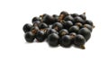 Black Currant Berry Royalty Free Stock Photo