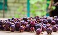 Black currant berry background Royalty Free Stock Photo