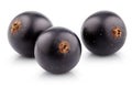 Black currant berry on white Royalty Free Stock Photo