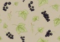 Black currant black. ripe berries. Seamless pattern, background.