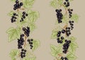 Black currant black. ripe berries. Seamless pattern, background.