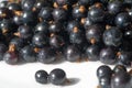 Black currant, blackcurrant, blackberry. vitamin C and polyphenol phytochemicals. They are used to make jams, jellies and syrups