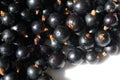 Black currant, blackcurrant, blackberry. vitamin C and polyphenol phytochemicals. They are used to make jams, jellies and syrups