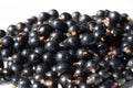 Black currant, blackcurrant, blackberry. vitamin C and polyphenol phytochemicals. They are used to make jams, jellies and syrups