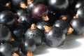 Black currant, blackcurrant, blackberry. vitamin C and polyphenol phytochemicals. They are used to make jams, jellies and syrups