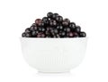 Black currant bowl