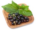 Black currant in bowl isolated Royalty Free Stock Photo