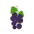 Black currant cartoon vector illustration Royalty Free Stock Photo