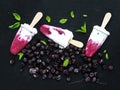 Black-currant milk ice-creams or popsicles with frozen black-currant and mint on black slate tray Royalty Free Stock Photo