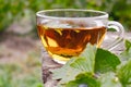 Black currant and a cup of tea with currant leaves on a wooden table against the background of green grass Royalty Free Stock Photo