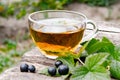 Black currant and a cup of tea with currant leaves on a wooden table against the background of green grass Royalty Free Stock Photo