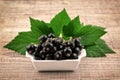 Black currant Royalty Free Stock Photo