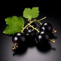Blackcurrant Berries On Black Surface - Alastair Magnaldo Style Royalty Free Stock Photo