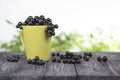 Black currant in a green cup on a wooden table Royalty Free Stock Photo