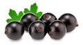 black currant with green leaf isolated on white background. clipping path Royalty Free Stock Photo