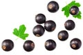Black currant with green leaf isolated on white background. clipping path. top view Royalty Free Stock Photo