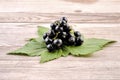 Black currant, healthy fruits for health. Royalty Free Stock Photo