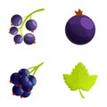 Black currant icons set cartoon vector. Fresh currant berry