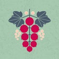 Black currant illustration. Black currant with leaves and flowers on shabby background.