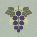 Black currant illustration. Black currant with leaves and flowers on shabby background.