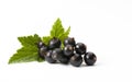 Black Currant Isolated On White Background Royalty Free Stock Photo