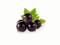 Black currant isolated on white background Royalty Free Stock Photo