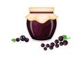 Black currant jam in glass jar and fresh berries vector illustration