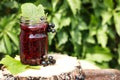 black currant jam in a glass jar on wooden coasters on a green background of foliage, currant berries, healthy food