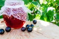 Black currant jam in a glass jar on a wooden table against the currant bush in the garden. Jam from currants. Close-up Royalty Free Stock Photo