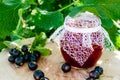 Black currant jam in a glass jar on a wooden table against the currant bush in the garden. Jam from currants. Close-up Royalty Free Stock Photo