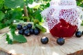 Black currant jam in a glass jar on a wooden table against the currant bush in the garden. Jam from currants. Close-up Royalty Free Stock Photo