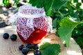 Black currant jam in a glass jar on a wooden table against the currant bush in the garden. Jam from currants. Close-up Royalty Free Stock Photo