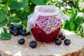 Black currant jam in a glass jar on a wooden table against the currant bush in the garden. Jam from currants. Close-up Royalty Free Stock Photo