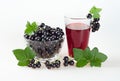 Black currant juice in a glass and ripe berries on a white background. Royalty Free Stock Photo