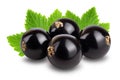 Black currant with leaves isolated on white background with clipping path and full depth of field Royalty Free Stock Photo