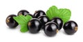 Black currant with leaves isolated on white background with clipping path and full depth of field Royalty Free Stock Photo