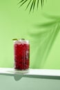 Black currant lemonade drink over green background. White table with sunlight and palm leaf hard shadow. Summer, tropical and Royalty Free Stock Photo