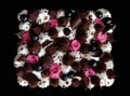 Black currant mousse sheet cake with whipped cream topping and fresh berries top view Royalty Free Stock Photo
